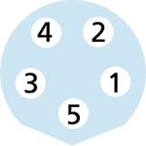 M8, Buchse, gerade, 5-polig, M8, Stecker, gerade, geschirmt, Sensor-/Aktorleitung