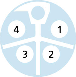 Flansch, M12, Buchse, gerade, 4-polig, L-codiert, Hinterwandmontage, mit Isolierkreuz, Printanschluss, POWER