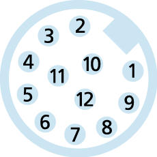 M12, Buchse, gerade, 12-polig, M12, Stecker, gerade, 12-polig, Sensor-/Aktorleitung