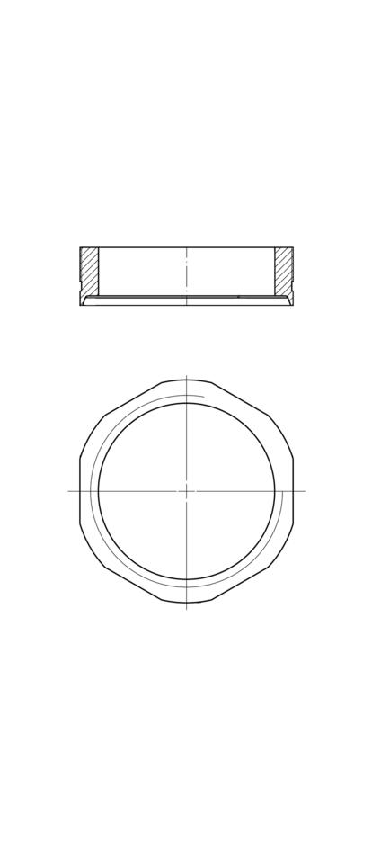 Ersatzmutter für Flansche, M20, SW22