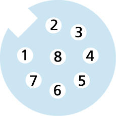 Y-Verteiler, M12, Stecker, gerade, 8-polig, M12, Buchse, gerade, 8-polig, M12, Buchse, gerade, 8-polig, geschirmt