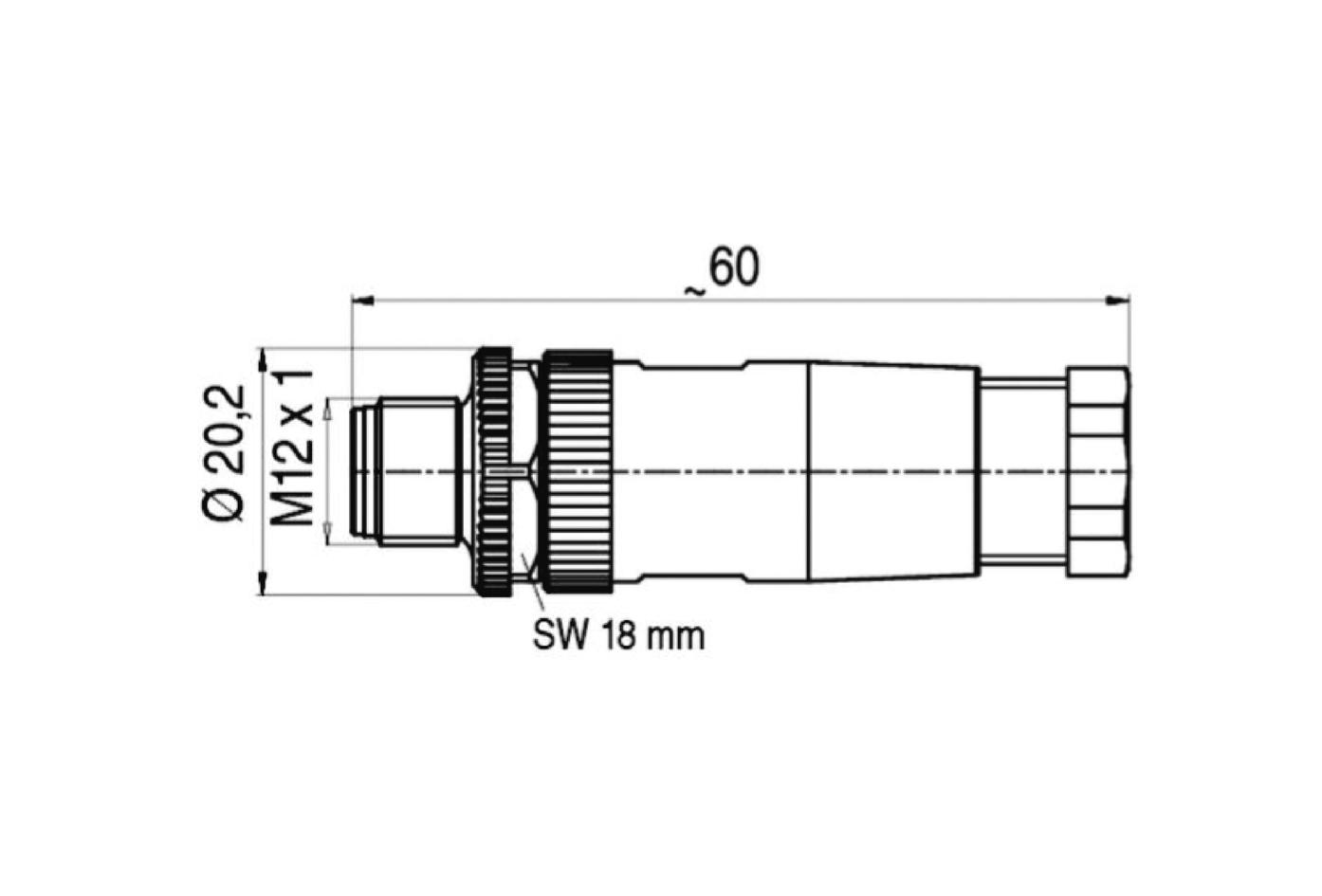 现场接线, M12, 公头, 直型, 4针脚, 螺丝夹紧连接, 250V 4A