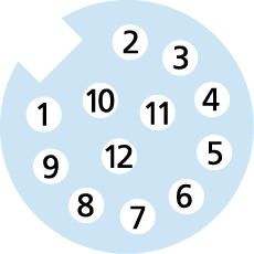 M12, Buchse, gerade, 12-polig, M12, Stecker, gerade, 12-polig, Sensor-/Aktorleitung