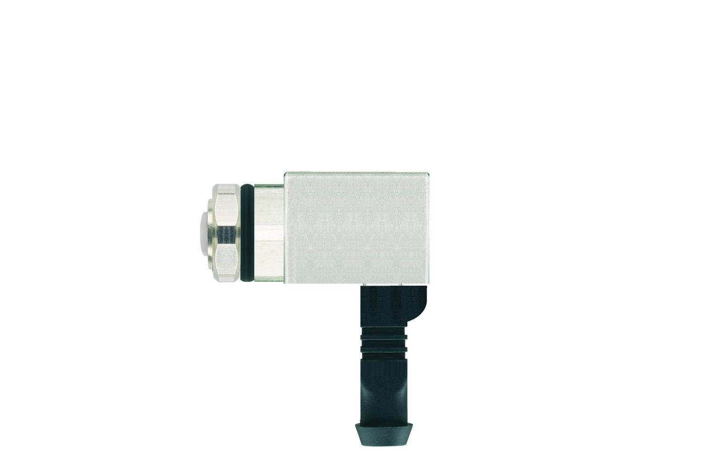 Wanddurchführung, M12, Buchse, gewinkelt, 4-polig, D-codiert, RJ45, Buchse, gerade, 8-polig, Hinterwandmontage, geschirmt, Industrial Ethernet
