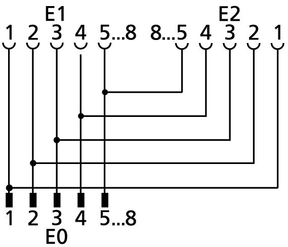 Y-splitter, M12, male, straight, 8 poles, M12, female, straight, 8 poles, M12, female, straight, 8 poles